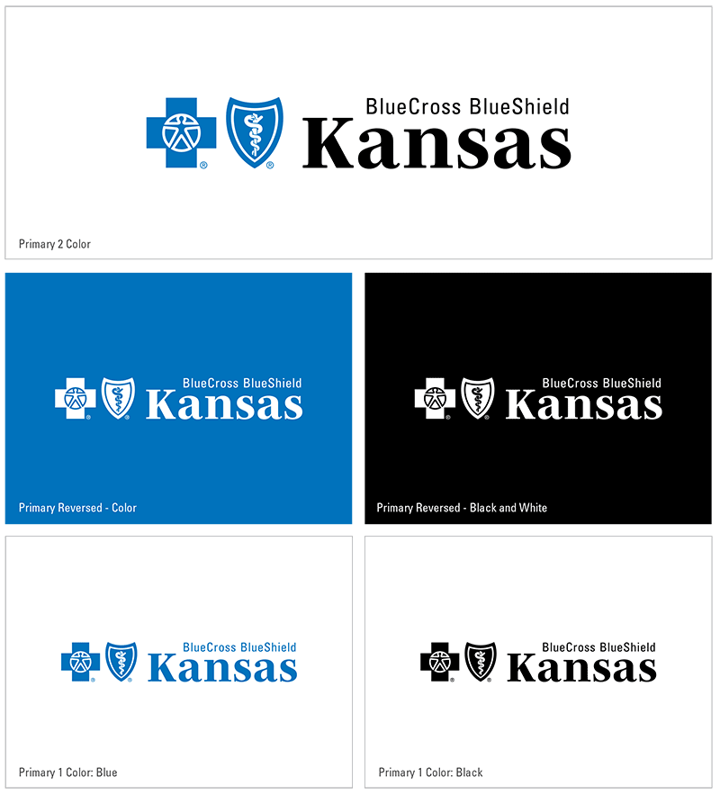 Corporate style Blue Cross and Blue Shield of Kansas